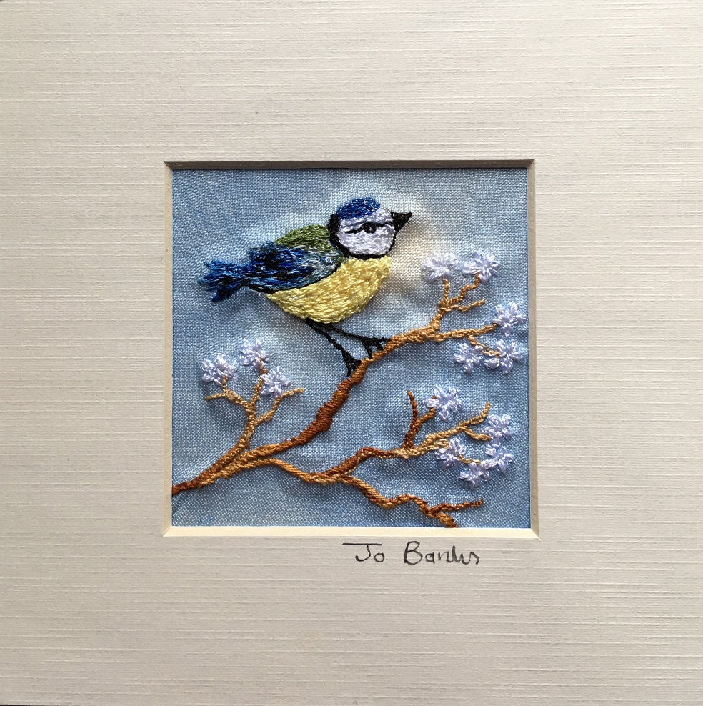 Blue tit with blossom